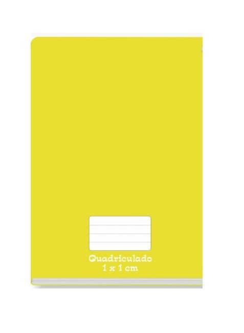 CADERNO CD QUADRICULADO 48F-BROCHURAO TAMOIO AM