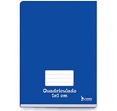 CADERNO CD QUADRICULADO 48F-BROCHURAO TAMOIO AZ
