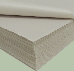 PAPEL JORNAL OF9-500F TAMOIO