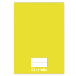 CADERNO UNIV.CD CALIGRAFIA 48F TAMOIO AM