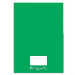 CADERNO UNIV.CD CALIGRAFIA 48F TAMOIO VD