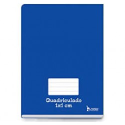 CADERNO CD QUADRICULADO 48F-BROCHURAO TAMOIO AZ