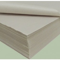 PAPEL JORNAL OF9-500F TAMOIO
