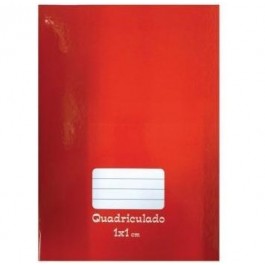 CADERNO CD QUADRICULADO 48F-BROCHURAO TAMOIO VM