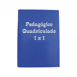CADERNO 1/4 BROCH.CD 096F QUADRICULADO 1X1
