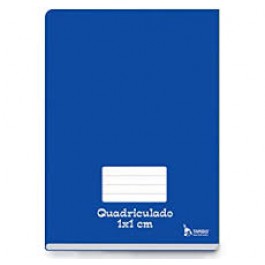 CADERNO CD QUADRICULADO 48F-BROCHURAO TAMOIO AZ